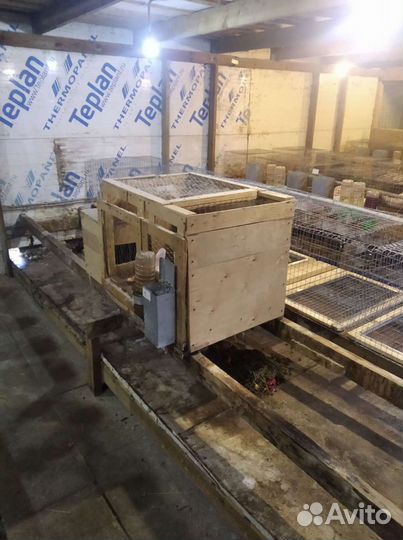 Клетки для кроликов бу