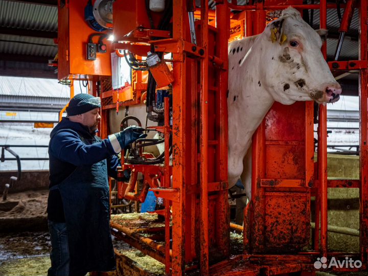 Станок для фиксации крс