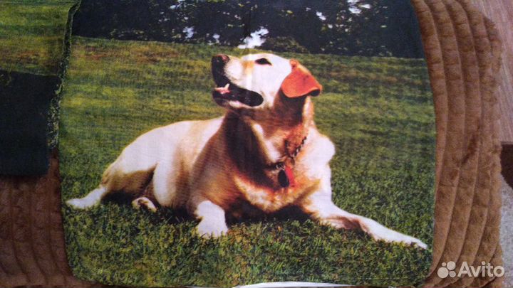 Наволочка для подушки декоративная- лабрадор- ретр