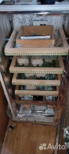 Инкубатор самодельный