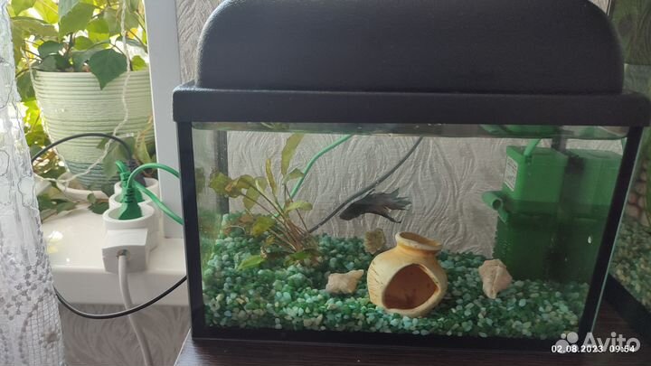Продам аквариум с рыбкой петушок и фильтром