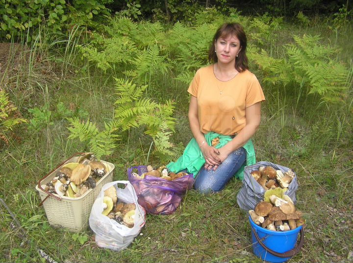 Дача 60 м² на участке 25 сот.