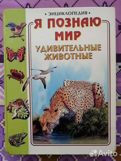 Энциклопедия 