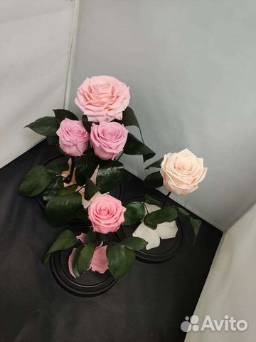 Роза в колбе оптом