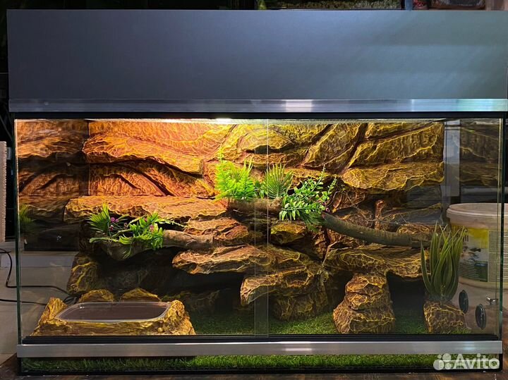 Террариум на заказ