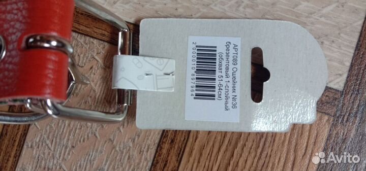 Ошейник и поводок для собаки