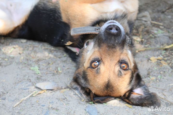 Малышка в поисках мам и пап