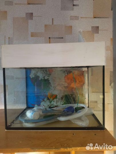 Аквариум