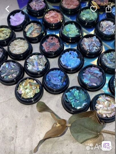 Ракушечник