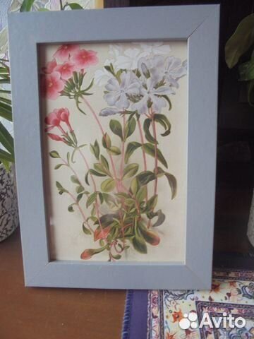 3 панно 12х17 стар грав принт Садов многолетн