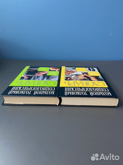 Толковый социологический словарь 1,2 том