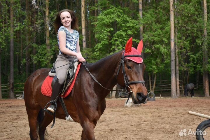 Конные прогулки