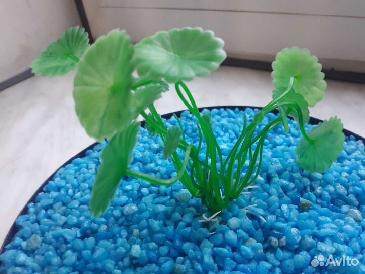Камешки в аквариум с искусственным растением