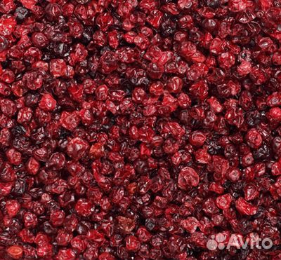 Брусника сушеная