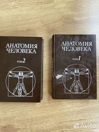 Анатомия человека Сапин