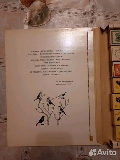 Певчие птицы