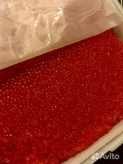 Икра красная