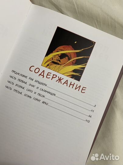 451 градус по фаренгейту Брэдбери, Гамильтон