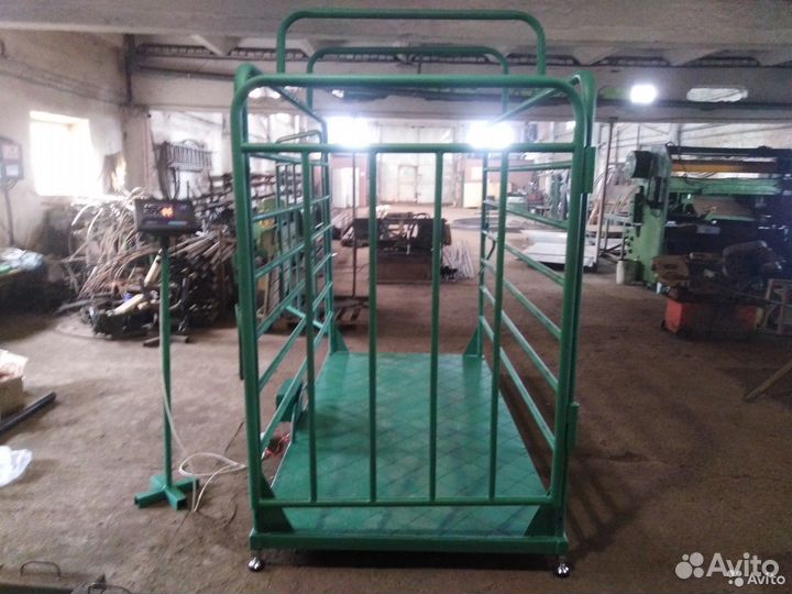 Весы для крс, Телят, Коров