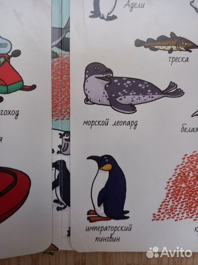 Книги Найди и покажи Clever