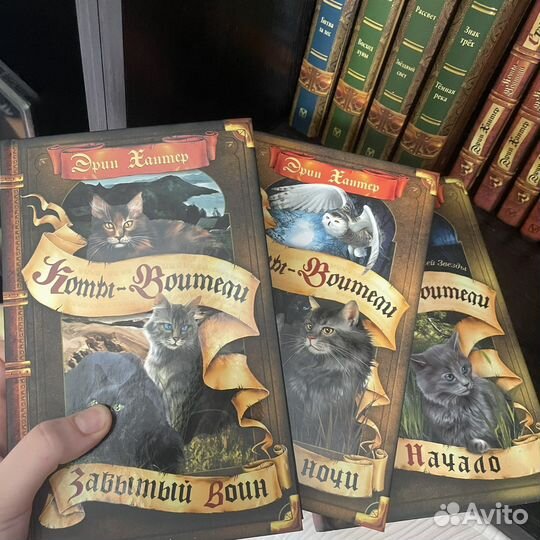 Книги коты воители