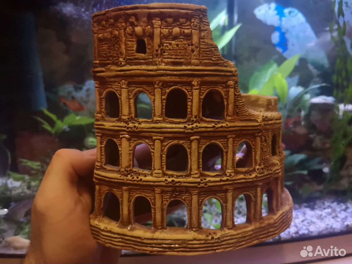 Декорация Колизей