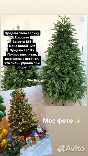 Ель Царская литая