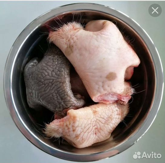 Говяжий нос, мясо для собак, корм для собак