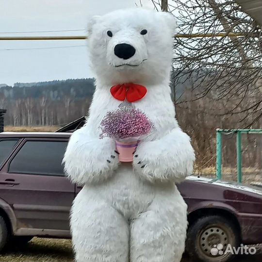 Большой белый медведь