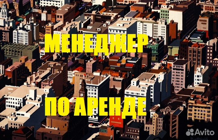 Менеджер по работе с недвижимостью