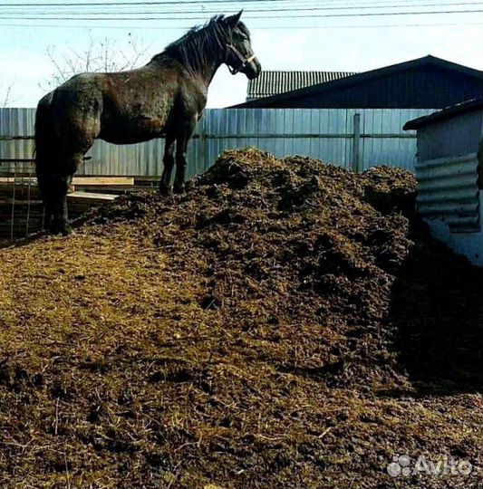Перегной, чернозём, навоз, щебень, песок