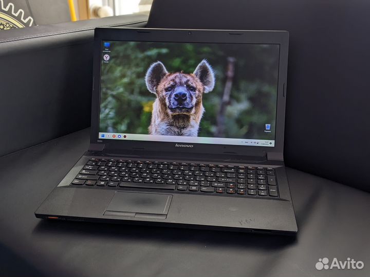 Шустрый Lenovo (120SSD, i5, 4GB)