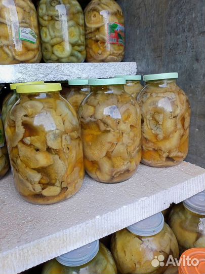 Грибы соленые