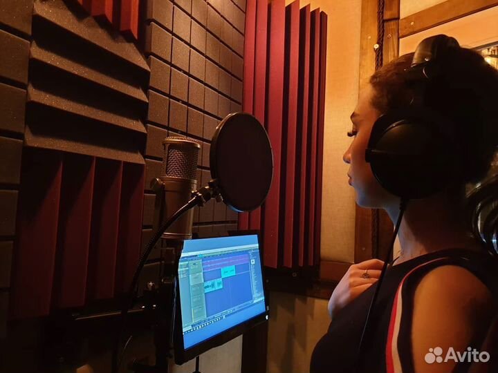 Студия звукозаписи TeploRec