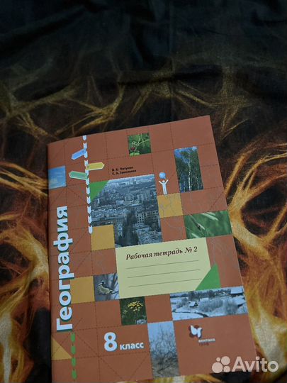 Рабочая тетрадь по географии 8 класс