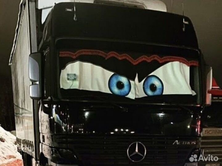 Шторы Глаза в кабину авто