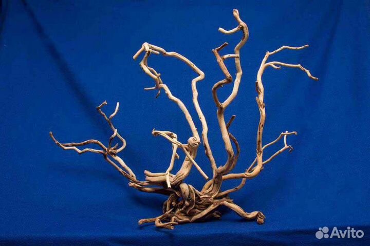 Коряги для аквариума и террариума