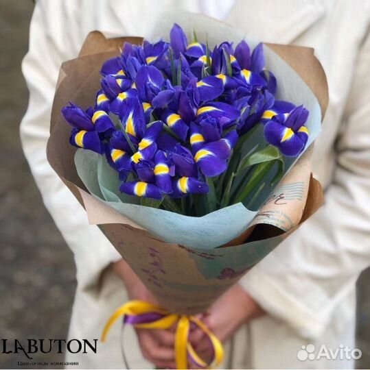 Цветы.Букет Ирисов.Доставка В Красноярске