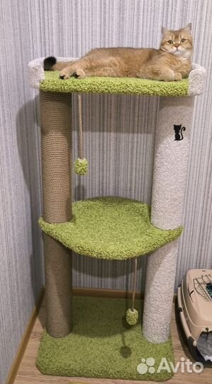 Домик - когтеточка, лежанка для котов новый