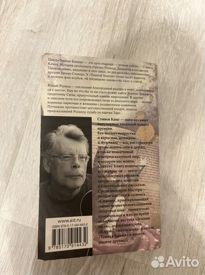 Стивен Кинг. Бесплодные земли