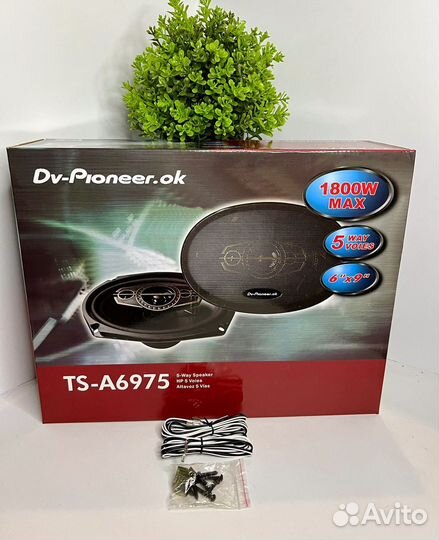 Колонки Dv.pioneer.ok (овалы)