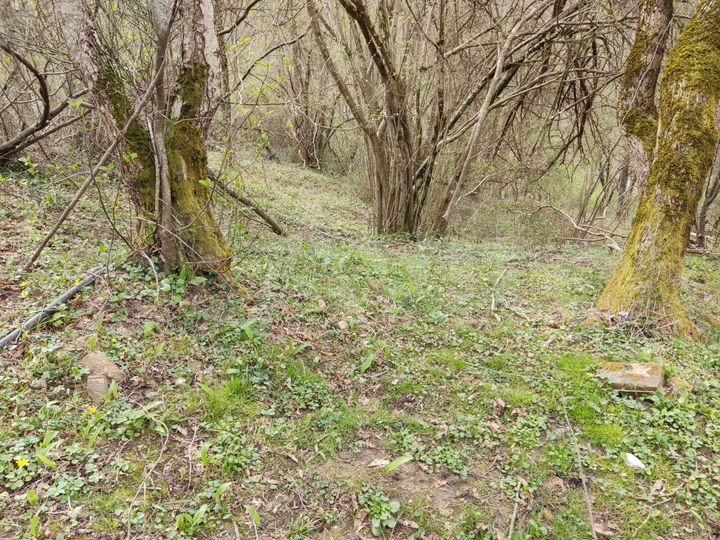 Участок 6,7 сот. (ИЖС)