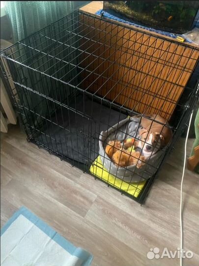 Клетка для собак и кошек новая (№5, №3)