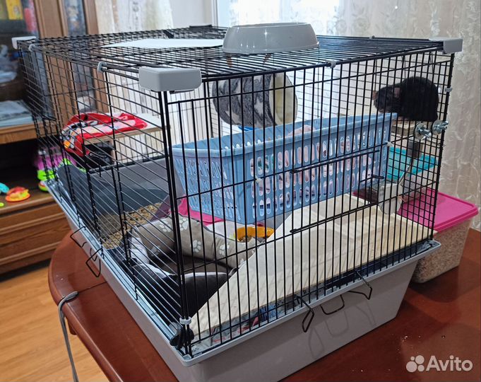 Клетка для грызунов