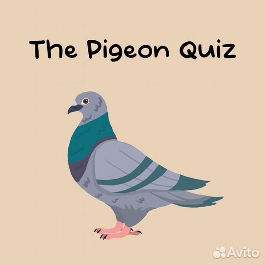The Pigeon Quiz PS4/PS5