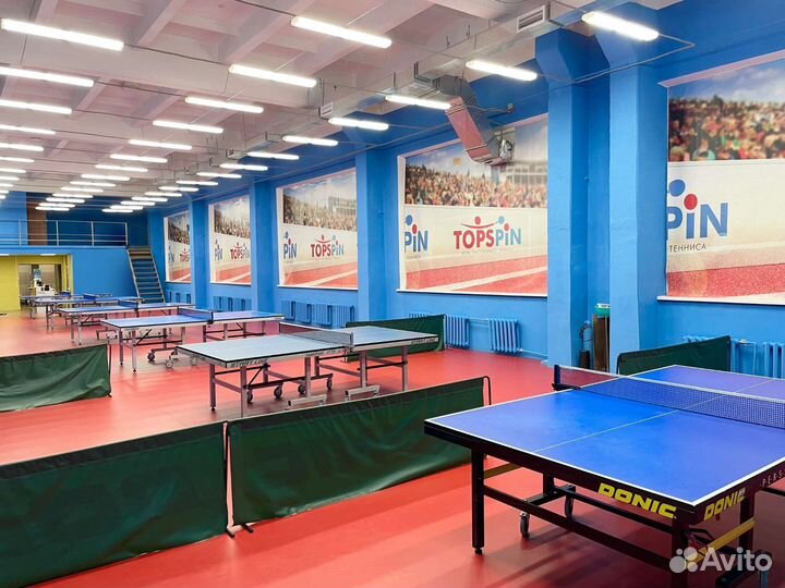 Аренда стола для настольного тенниса