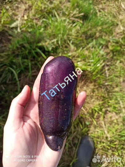 Картофель диетический Аметист