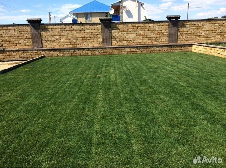 Укладка рулонного газона под ключ