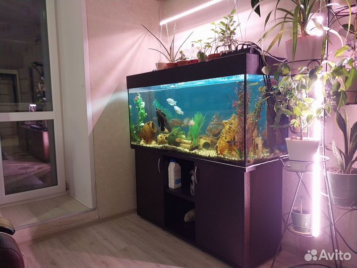 Аквариум с тумбой и рыбами