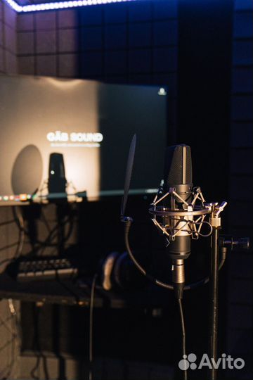 Студийный микрофон Neumann U 89 I